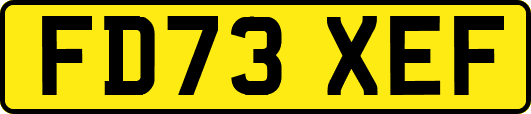 FD73XEF