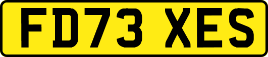 FD73XES