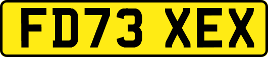 FD73XEX