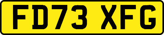 FD73XFG