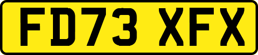 FD73XFX