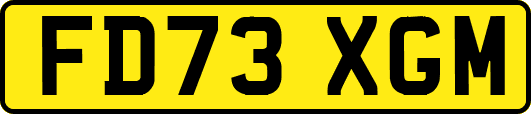 FD73XGM