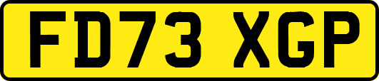 FD73XGP