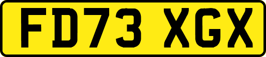 FD73XGX