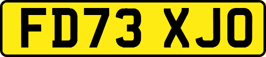FD73XJO