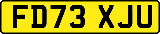 FD73XJU