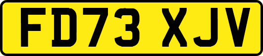 FD73XJV