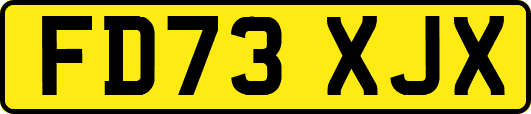 FD73XJX