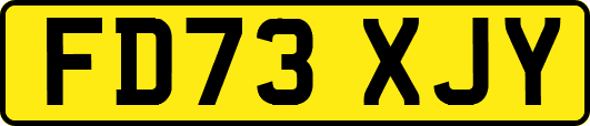 FD73XJY