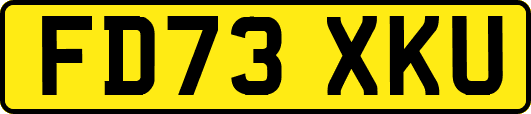 FD73XKU