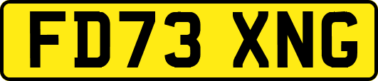 FD73XNG