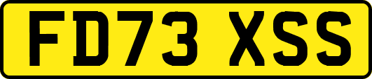 FD73XSS