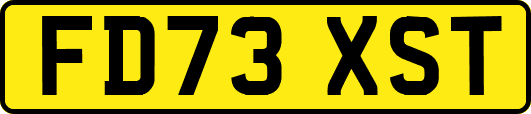 FD73XST