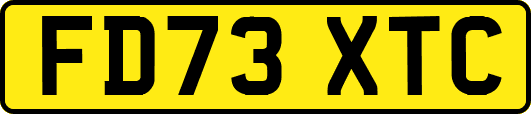 FD73XTC