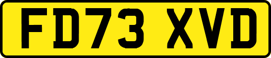 FD73XVD