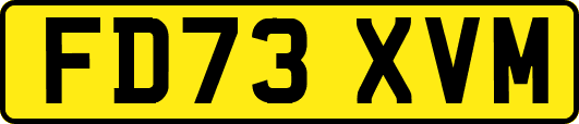 FD73XVM