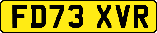 FD73XVR