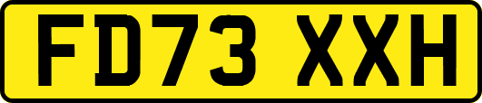 FD73XXH