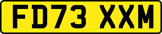 FD73XXM