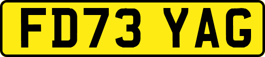 FD73YAG