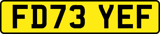 FD73YEF