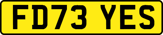 FD73YES