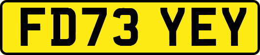 FD73YEY