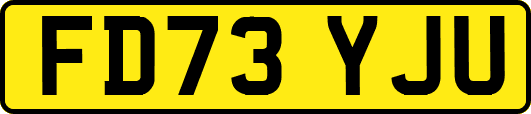 FD73YJU
