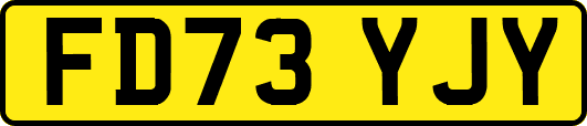 FD73YJY