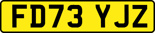 FD73YJZ