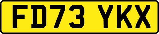 FD73YKX