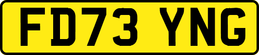 FD73YNG