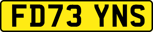 FD73YNS