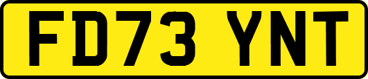 FD73YNT