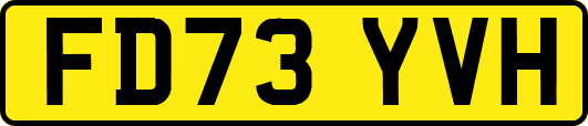 FD73YVH