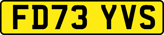 FD73YVS