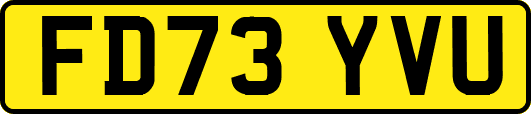 FD73YVU