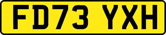 FD73YXH