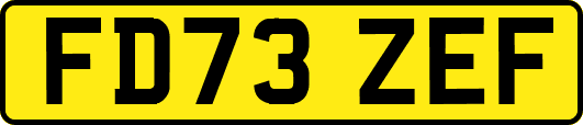 FD73ZEF