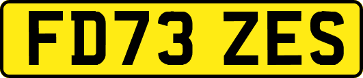 FD73ZES