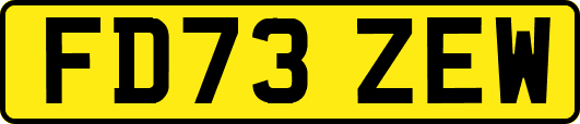 FD73ZEW