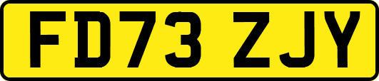 FD73ZJY