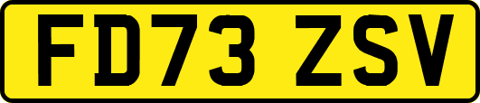 FD73ZSV
