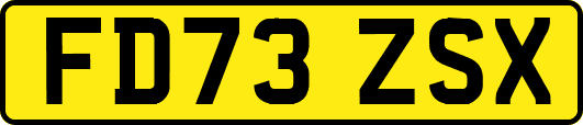 FD73ZSX