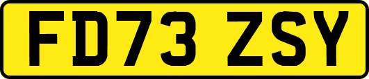 FD73ZSY