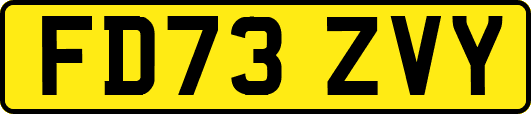 FD73ZVY