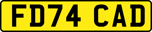 FD74CAD