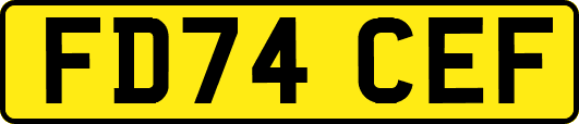 FD74CEF