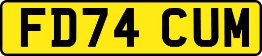 FD74CUM