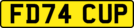 FD74CUP